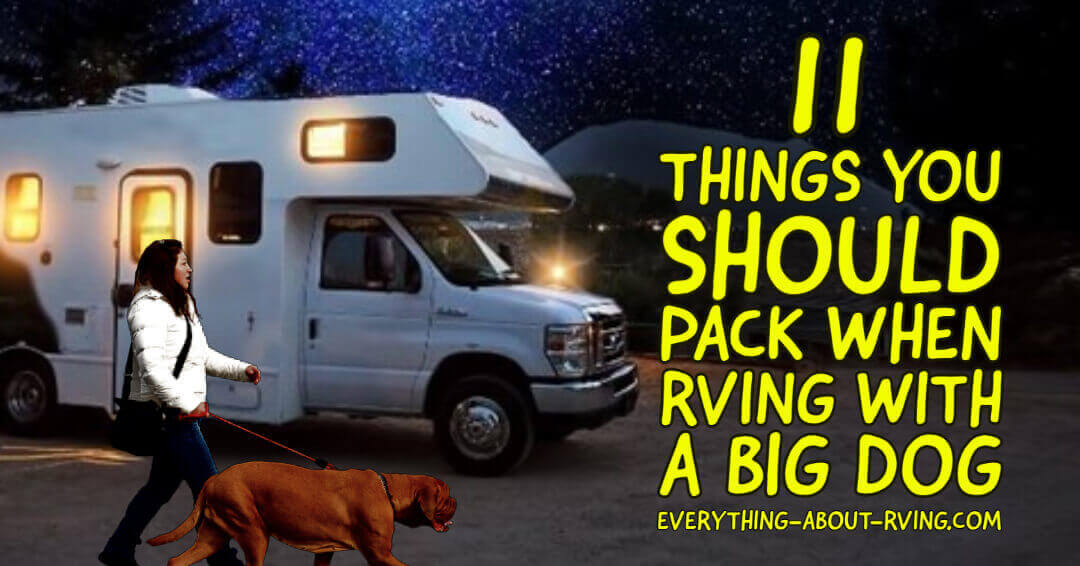 There is nothing more exciting than RV camping with your ever-enthusiastic big dog.