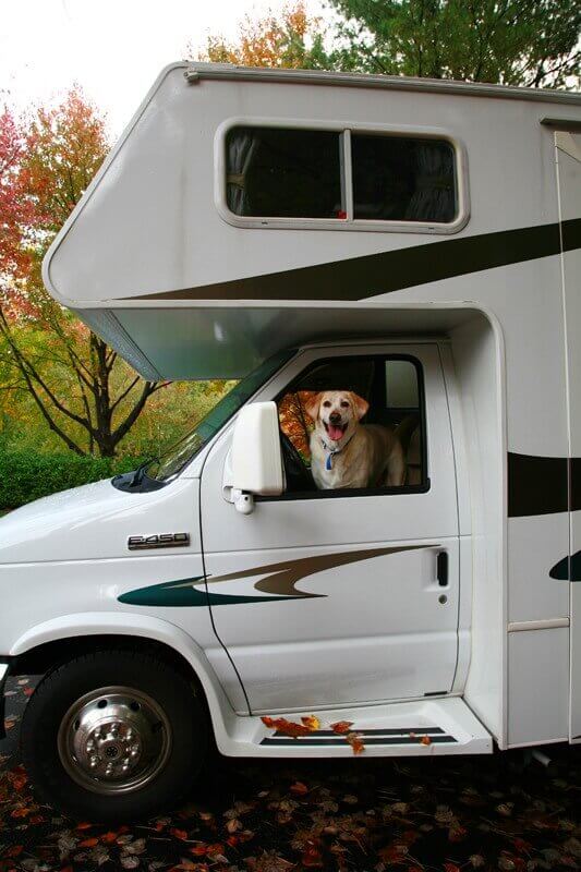 Dog looking out the window of a class C RV