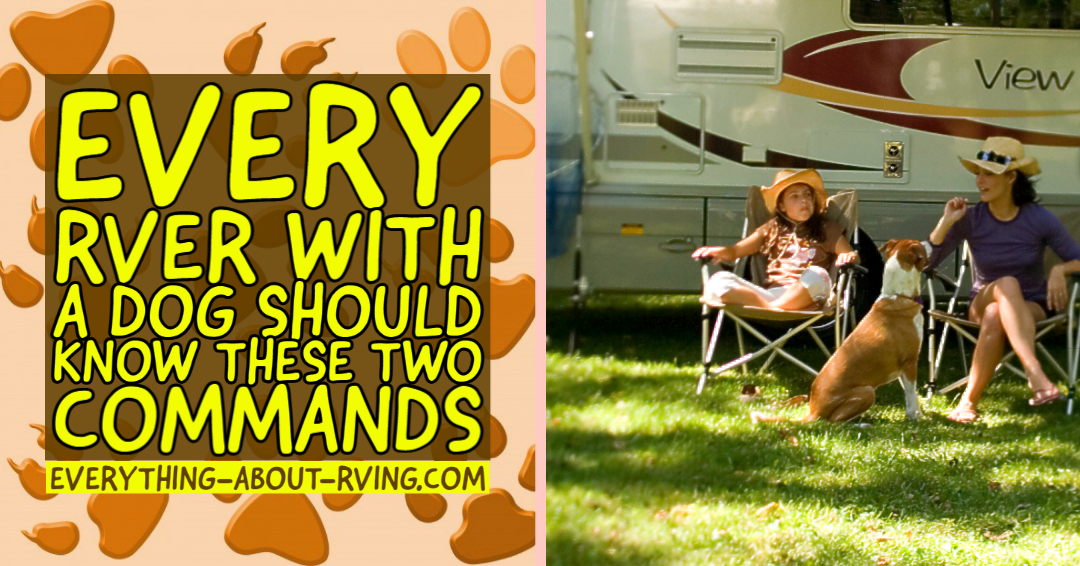 Every RVer With A Dog Should Know These Two Commands