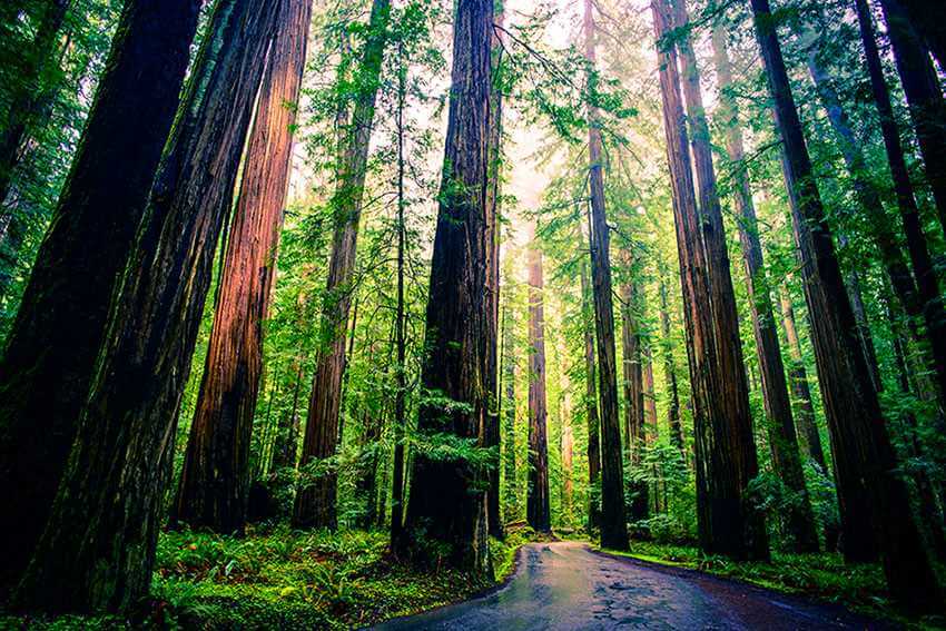 The Ultimate RV Road Trip on a Budget
Part II West Coast Edition