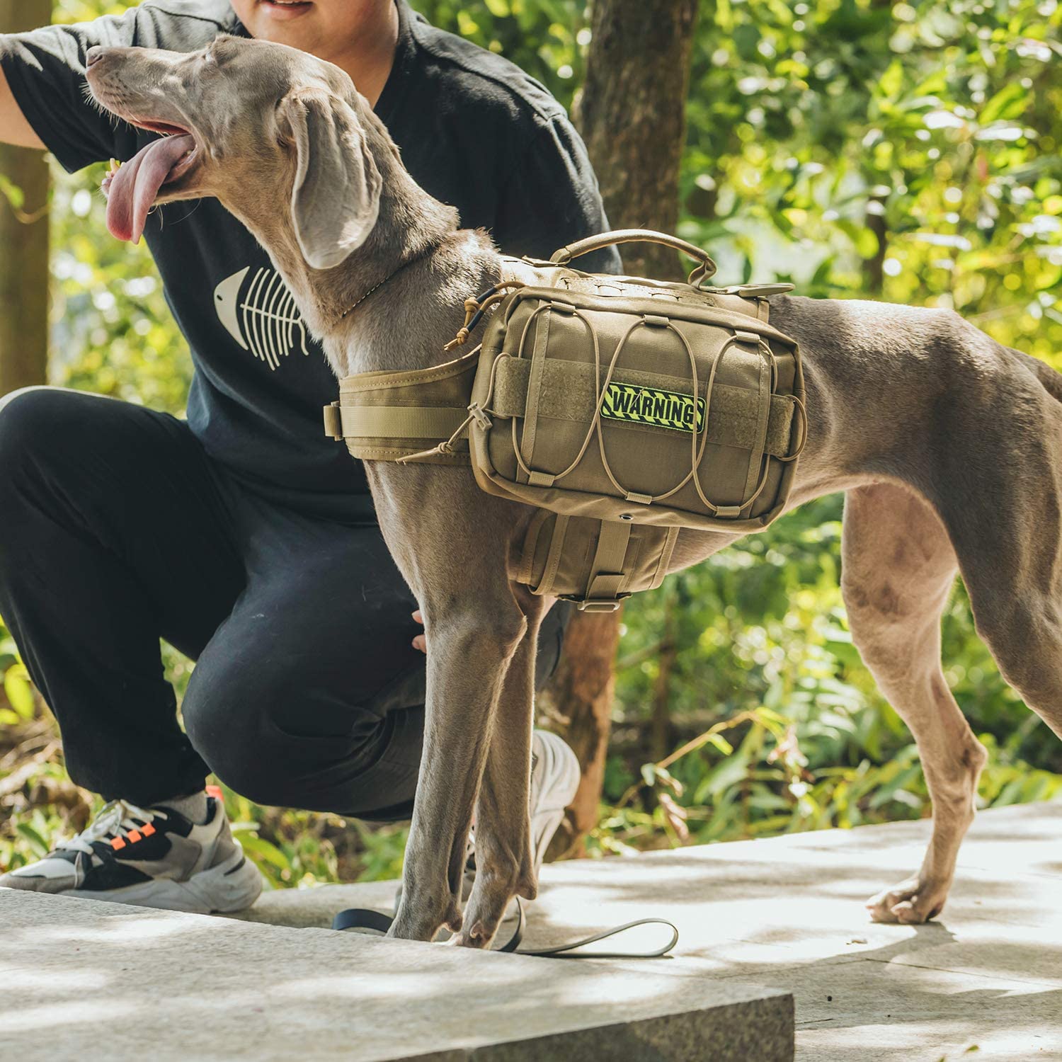 11 Things You Should Pack When RVing With a Big Dog