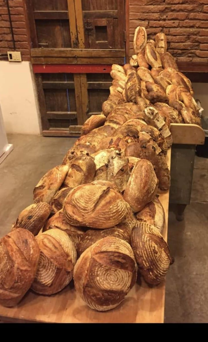 Triunfo Cranberry Walnut Sourdough Rounds