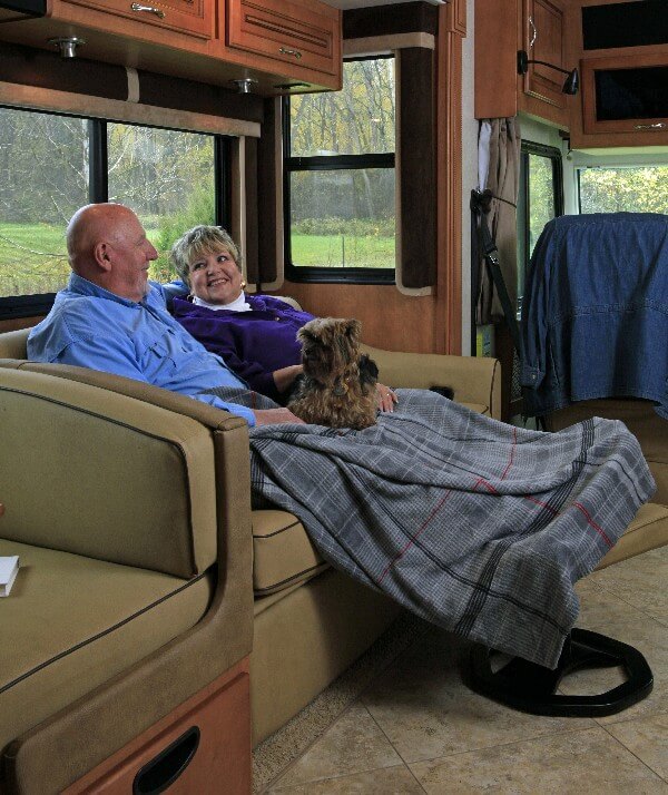 If you love camping, there is a very good chance that your dogs love camping too