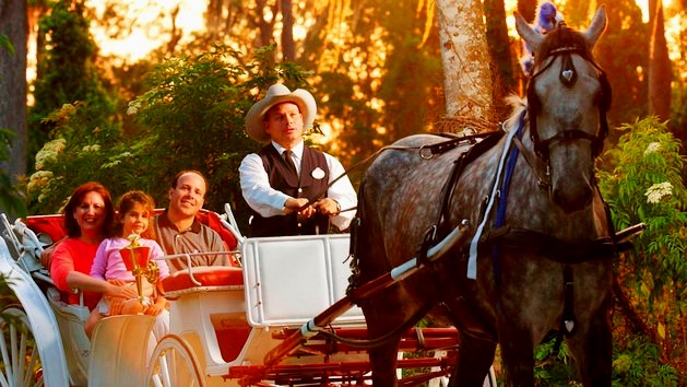 Family on a Carriage Ride at Disney Worlds Fort Wilderness Resort and Campground