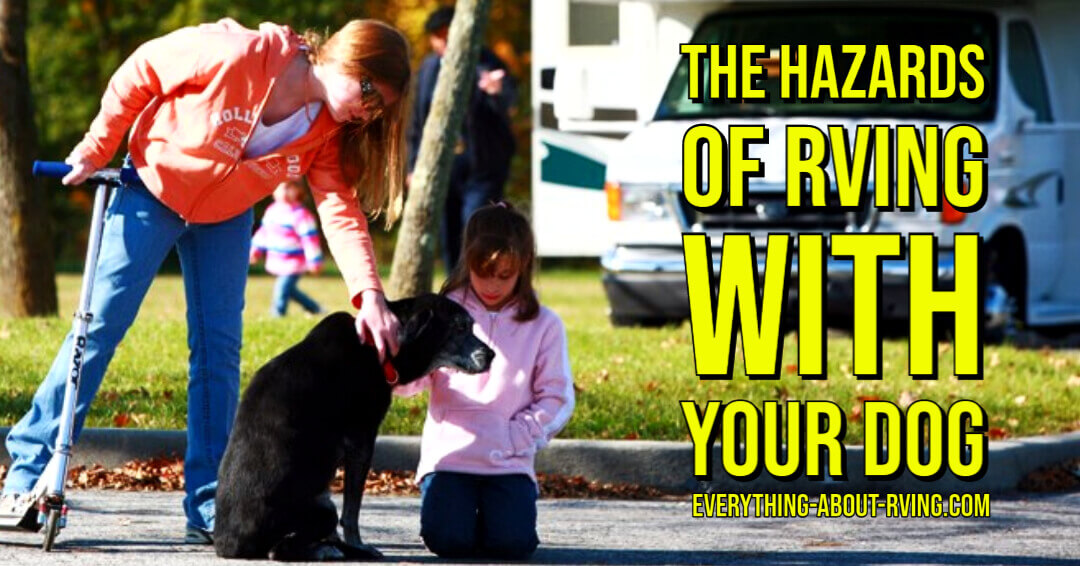 The Hazards of RVing With Your Dog