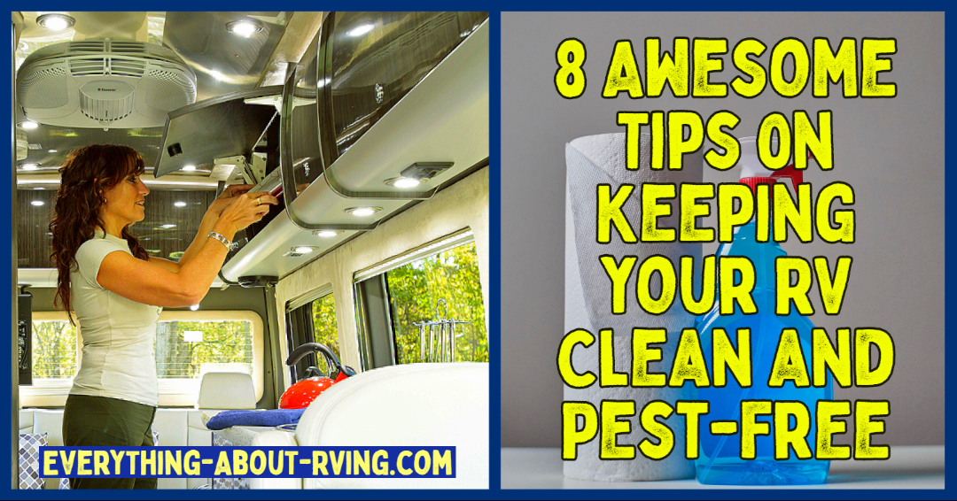 8 Awesome Tips on Keeping your RV Clean and Pest-Free