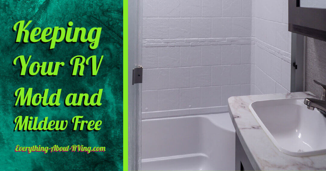 RV Tips for Keeping Your RV Mold and Mildew Free