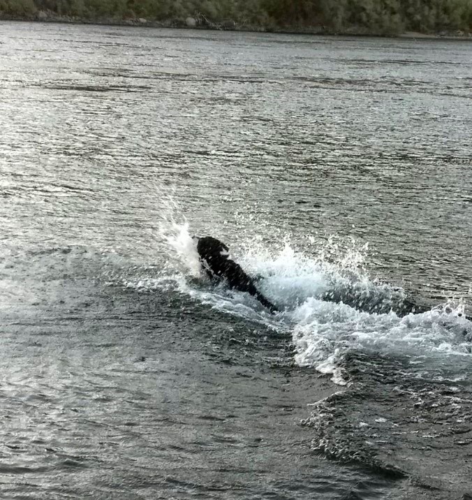 Tye Splashing Green River Wyoming Oct 2017