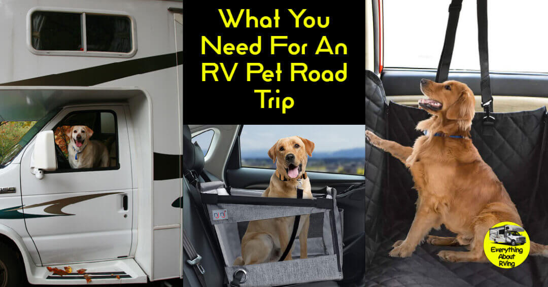 Here are the items you need when taking your furry friend on an RVing pet road trip