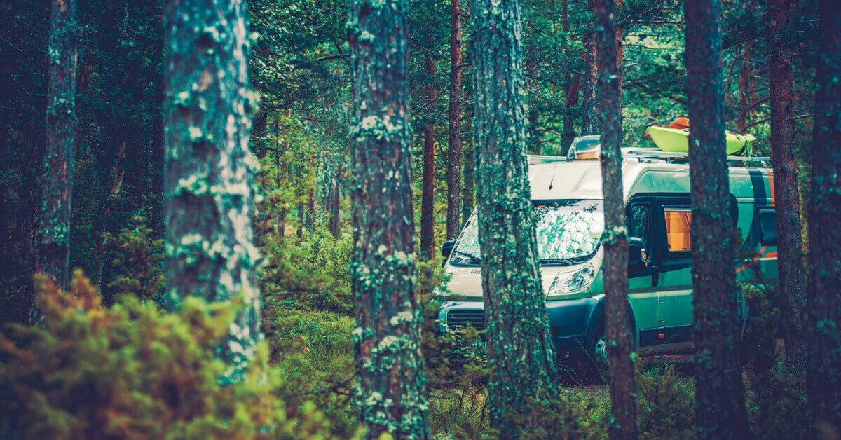 Class B RV boondocking in a forest