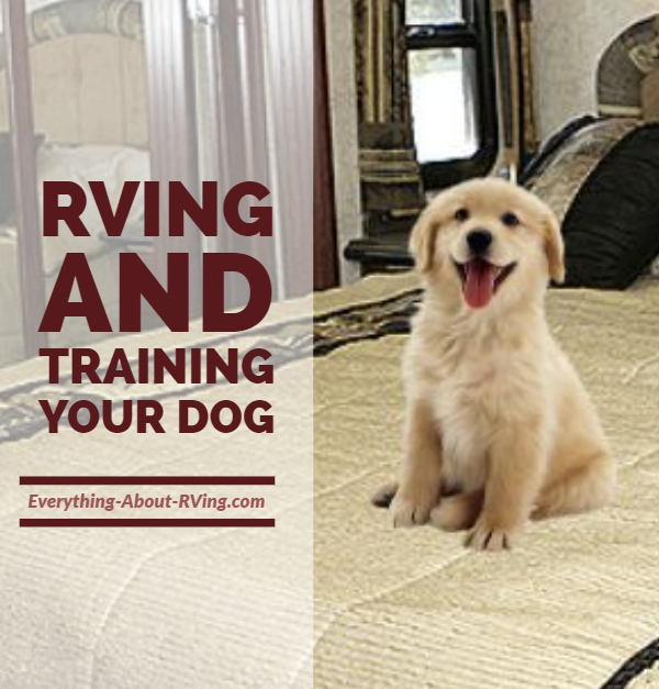 RVing and Training Your Dog