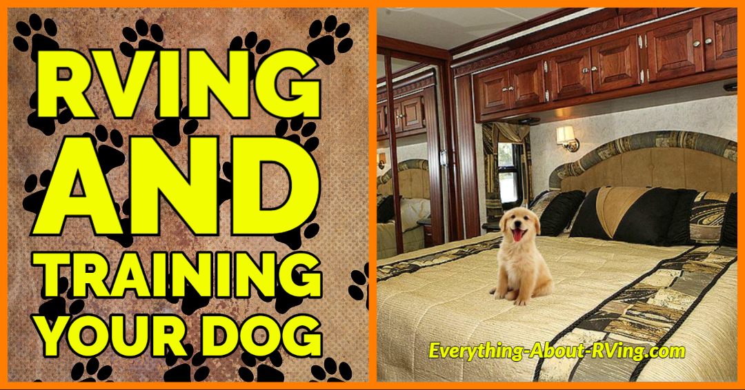 RVing and Training Your Dog