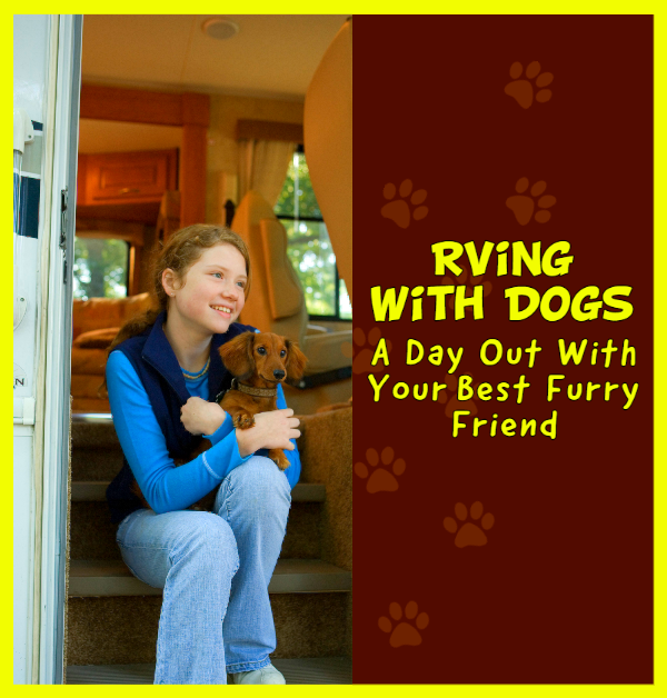 RVing With Dogs, A Day Out With Your Best Furry Friend
