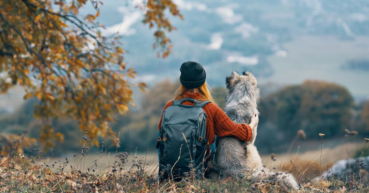 Regular travels with your dog can be a rewarding experience for both of you, but it requires careful planning and preparation