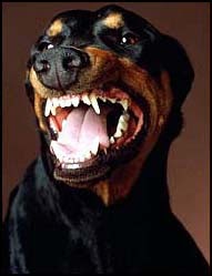 Bad Camping Etiquette Makes Other Campers Despise You