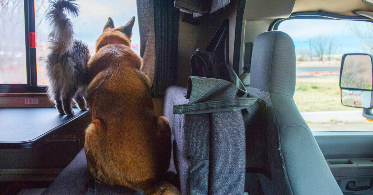 We've gathered the most helpful tips and tricks on how to safely (and peacefully!) travel with pets in a motorhome