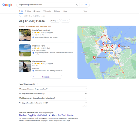 We've gathered the most helpful tips and tricks on how to safely (and peacefully!) travel with pets in a motorhome