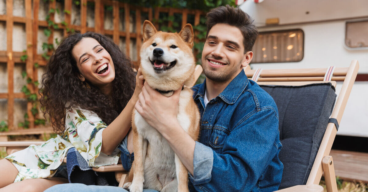 We've gathered the most helpful tips and tricks on how to safely (and peacefully!) travel with pets in a motorhome