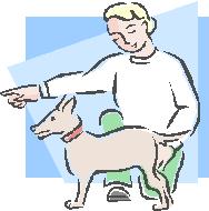 Is Your Dog Insensitive When You Visit Different RV Parks?