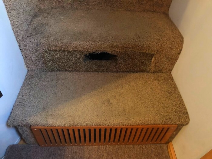 Traveling in an RV may not be your cat's idea of a good time, but if RVing with a cat is something you're considering, here are some ways to make it a more pleasant experience for everyone involved...