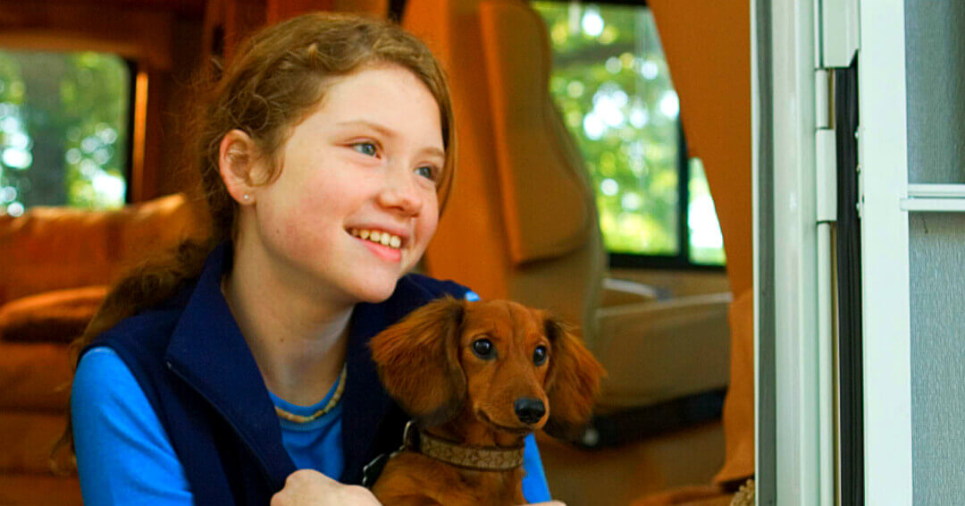 Why Your Dog Could Be Your Best Camping Mate