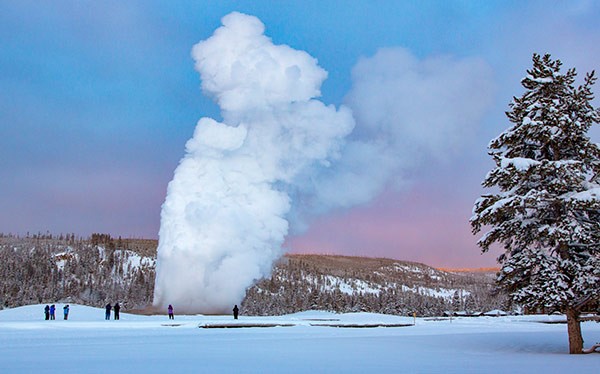 Yellowstone Geyser