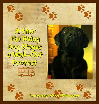 Arthur the RVing Dog Stages a Walk-Out Protest
