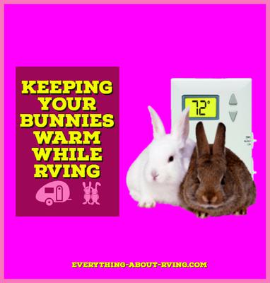 Keeping Your Bunnies Warm While RVing