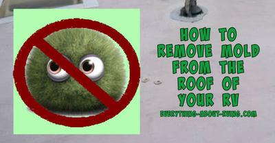 How To Remove Mold From The Roof Of Your RV