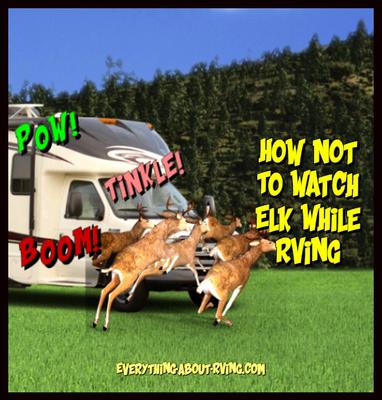 How Not To Watch Elk While RVing