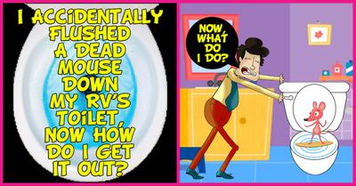 I Accidentally Flushed A Dead Mouse Down My RV's Toilet, Now How Do I Get It Out?