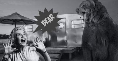 LOOKOUT !!! Bear Over There !!!