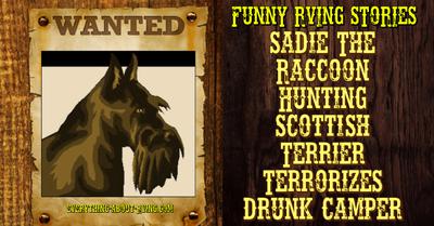 Sadie The Raccoon Hunting Scottish Terrier Terrorizes Drunk Camper
