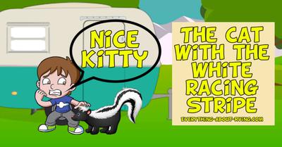 The Cat With the White Racing Stripe