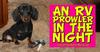An RV prowler In The Night