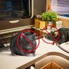 How to Get Rid of Mice in Your RV