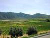 Wine Country on Baja