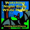 Watching Night Birds While RVing