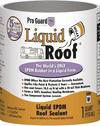 Liquid Roof RV Roof Coating & Repair
