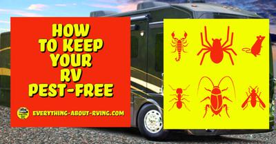 How to Keep Your RV Pest-Free