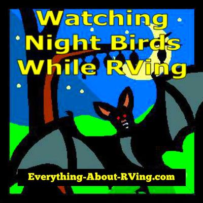 Watching Night Birds While RVing