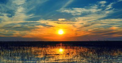 Lake Okeechobee Sunset