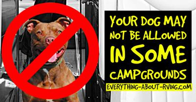 Your Dog May Not be Allowed in Some Campgrounds!!!